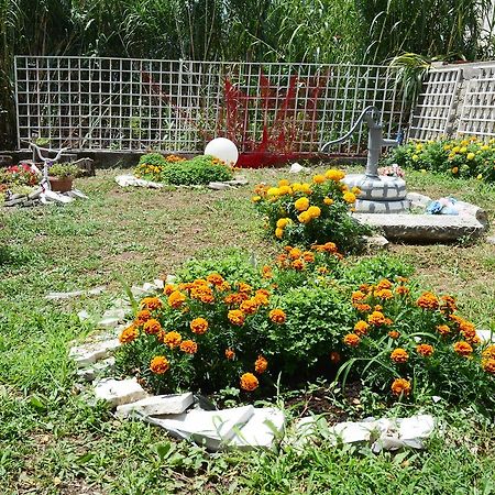 Stone House Dragutinovic Apartment Kotor Ngoại thất bức ảnh